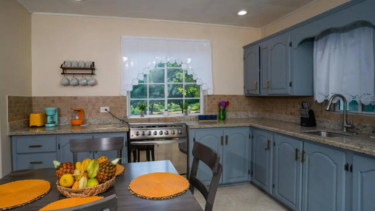 Treasured Gem Hideaway Villa Treasure Beach